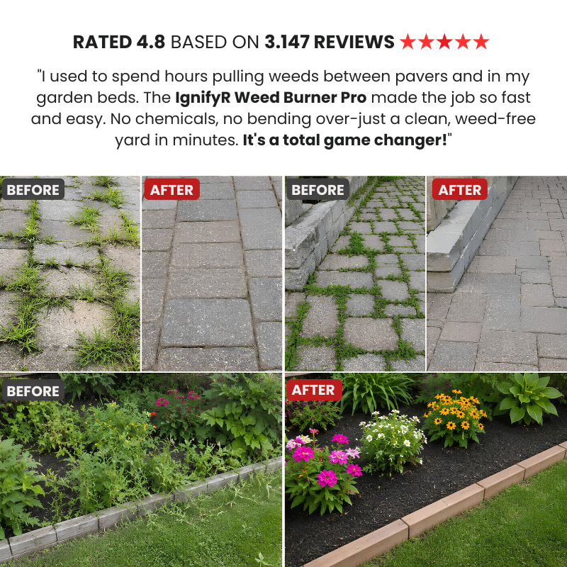 FLAMYR™ Weed Burner Pro